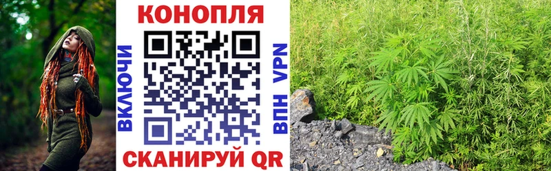 Купить  Лиски  Марихуана план 